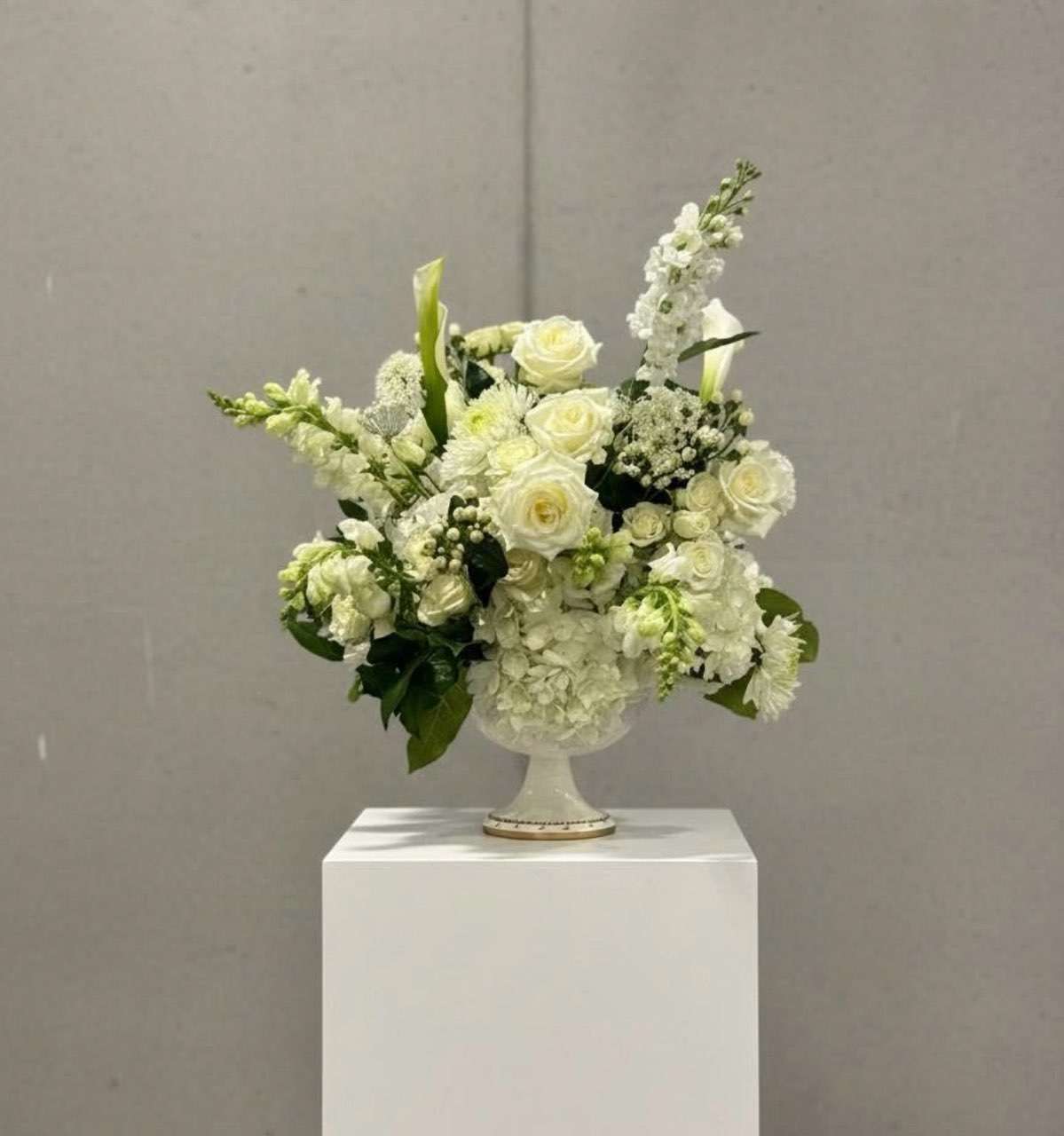 Beautiful white roses on square white display